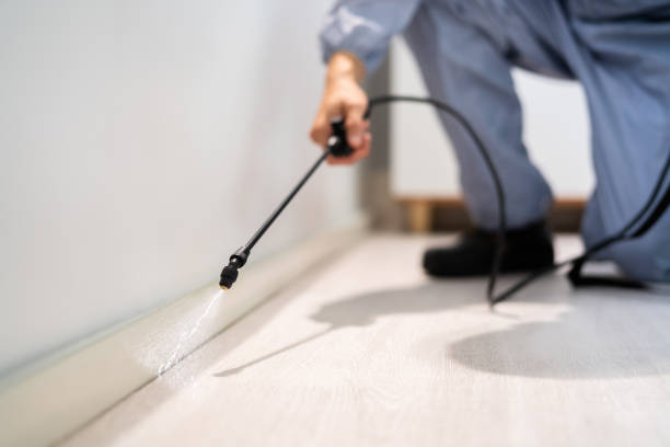 Certified termite inspector examining foundation in River Edge