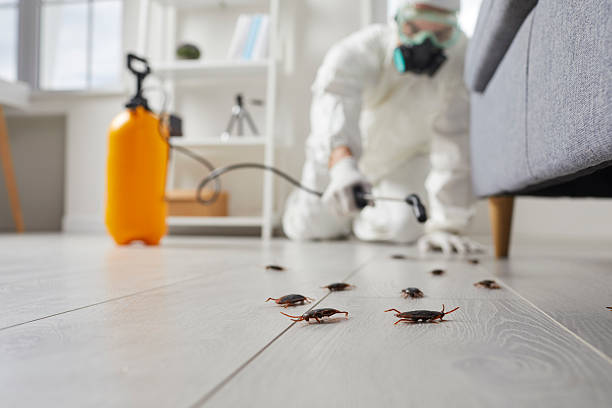 Commercial Kitchen Cockroach Control in River Edge